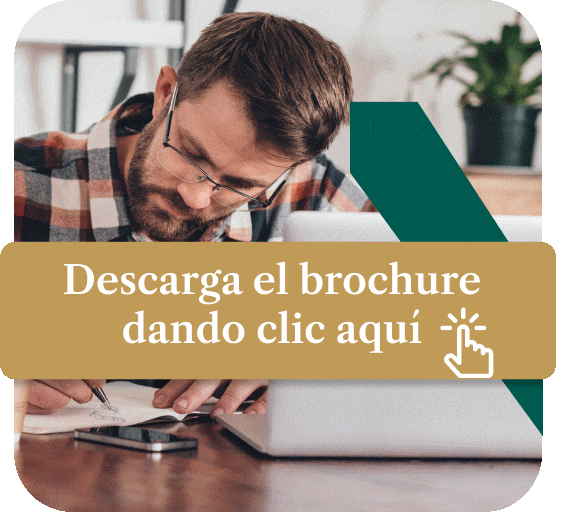 Maestría en Lingüística