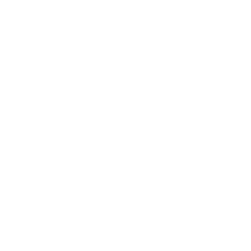 Maestría en Derecho Constitucional