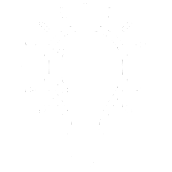 Maestría en neuroeducación