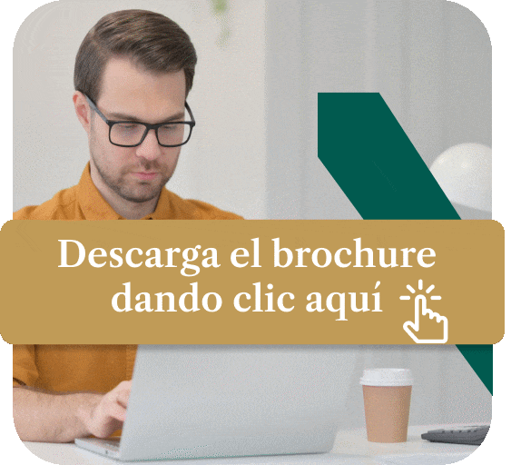 Marketing digital universidad