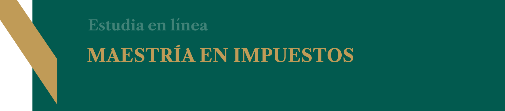 Maestría en Impuestos