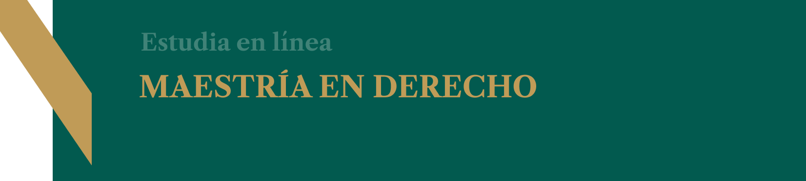 Maestría en Derecho 
