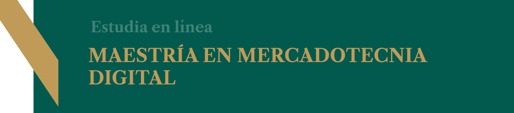 Maestría en Mercadotecnia Digital 