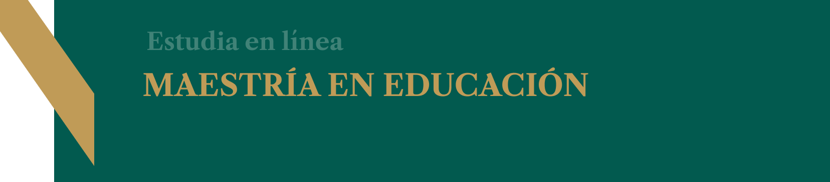 Maestría en Educación